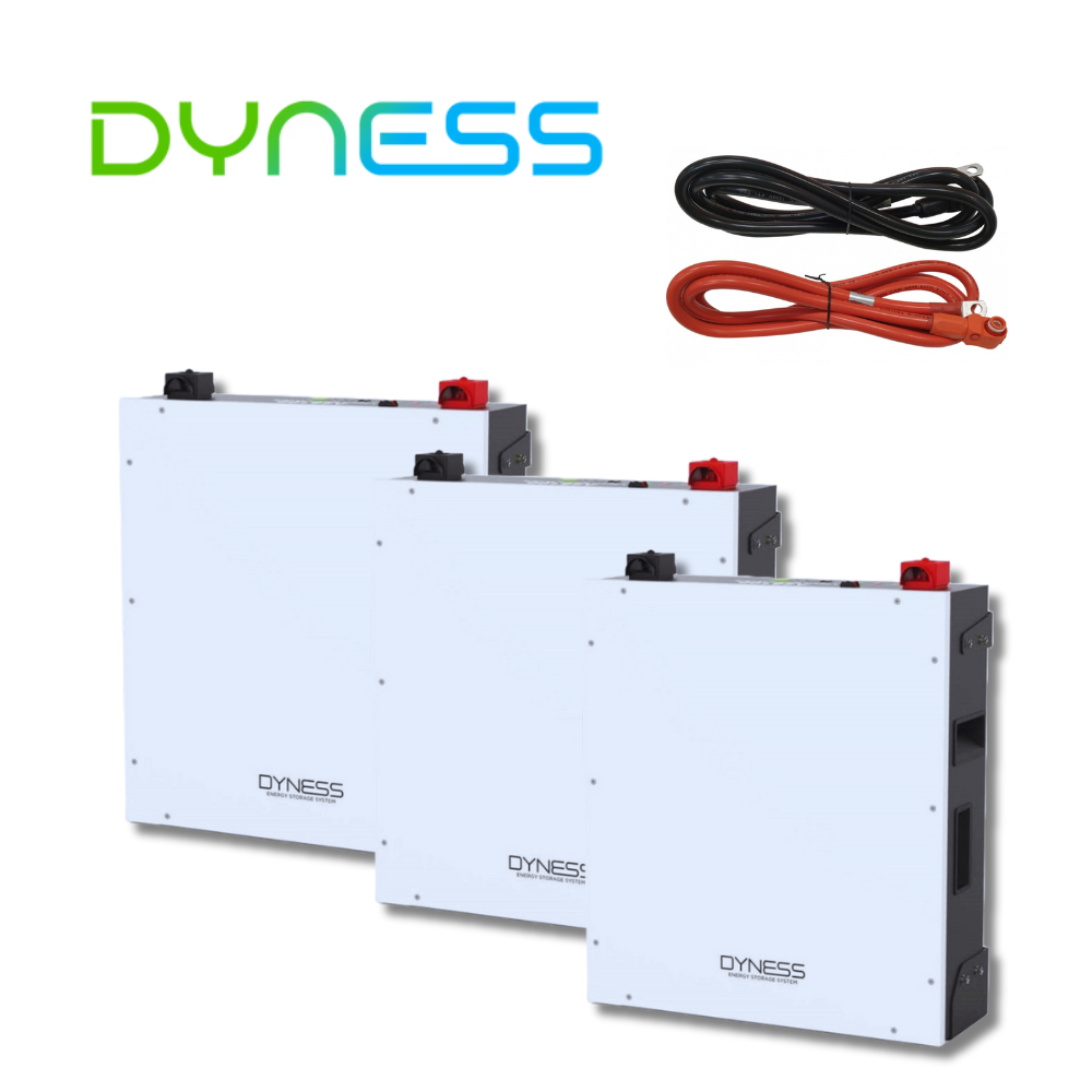 Batteria al Litio Dyness DL5.0C 5.12 kWh 48V Batteria al Litio Dyness DL5.0C 5.12 kWh 48V