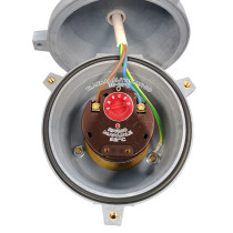 Resistenza elettrica corazzata monofase da 2 kW, termostato regolabile fino a 82°C