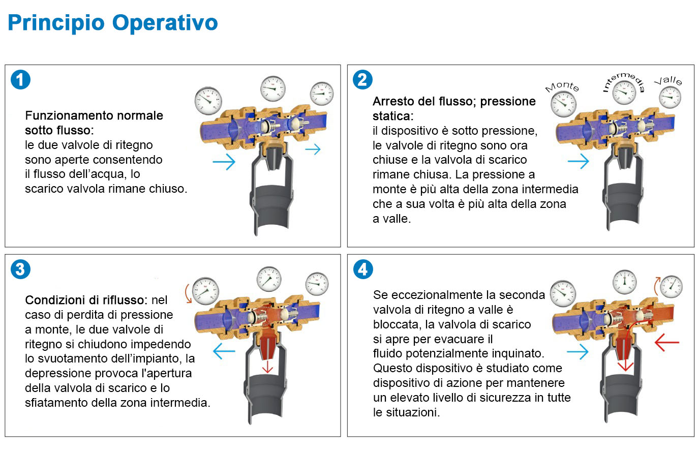 alternativa immagine